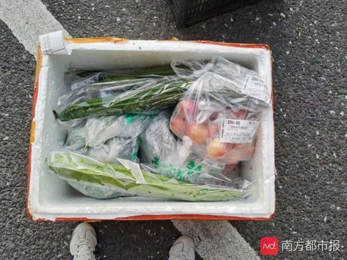 直击荔湾白鹤洞街 一趟特别的食品配送车驶过马路