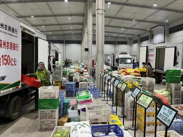 车水马龙,映入眼帘的是一片繁忙的景象:即将配送到超市的食品,日用品