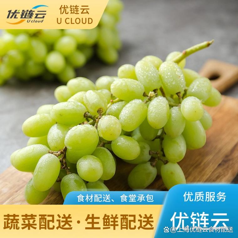 普陀生鲜食品配送 绿色健康，从源头到餐桌的“鲜”行保障